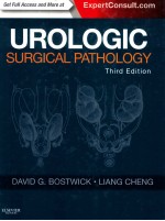 UROLOGIC SURGICAL PATHOLOGY THIRD EDITION