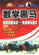 新课标 初中版 数学黑马 简单的数与式-有理数与整式