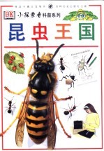 昆虫王国