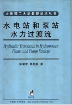 水电站和泵站水力过渡流