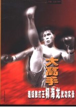 大高手 超级散打王柳海龙武功实录