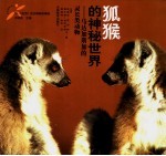 狐猴的神秘世界 马达加斯加的灵长类动物 摄影集
