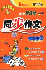 初中新课标双色同步作文 二年级 下