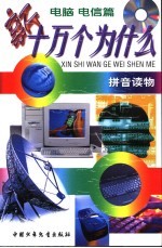 拼音读物 新十万个为什么 电脑电信篇