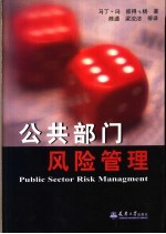 公共部门风险管理