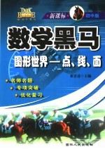 新课标 初中版 数学黑马 图形世界-点、线、面