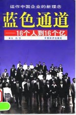 蓝色通道 16个人到16个亿
