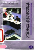 外商投资企业会计电算化