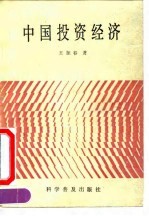 中国投资经济