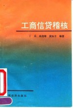 工商信贷稽核