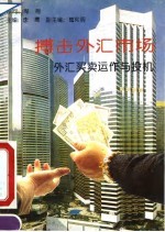 搏击外汇市场 外汇买卖运作与投机