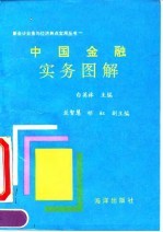 中国金融实务图解