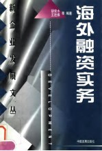 海外融资实务