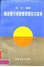 商业银行信息管理理论与实务