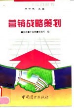 营销战略策划