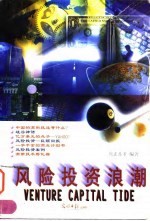 风险投资浪潮