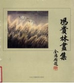 冯贵林画集