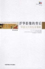 浮华影像的背后 华语大片的生存策略