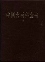 中国大百科全书 31