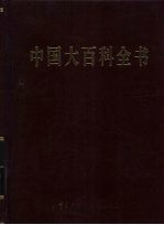 中国大百科全书 30