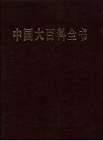 中国大百科全书 22