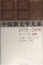 中国新文学大系 1976-2000 第22集 诗卷