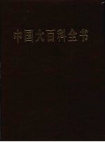 中国大百科全书 6