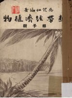热带经济植物椰子树