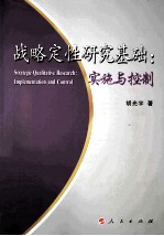 战略定性研究基础 实施与控制