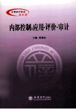 内部控制 应用评价审计