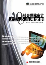 AO社会保障审计应用实例