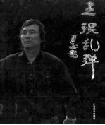 王琨乱弹 当代油画评论文集