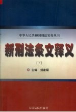 新刑法条文释义 下