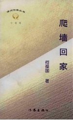 爬墙回家 何葆国小说集