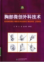 胸部微创外科技术