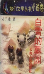 白雪的墓园