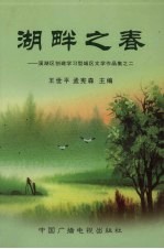 湖畔之春:溪湖区创建学习型城区文学作品集之二
