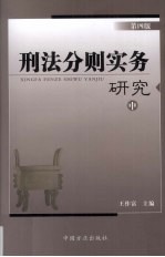 刑法分则实务研究 中