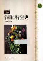 家庭阳台种菜宝典