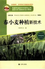 春小麦种植新技术