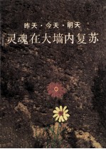 昨天·今天·明天 灵魂在大墙内复苏