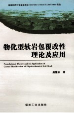 物化型软岩包覆改性理论及应用