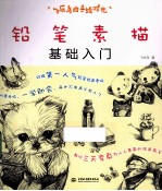飞乐鸟的手绘时光 铅笔素描基础入门