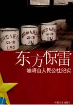东方惊雷 嵖岈山卫星人民公社纪实