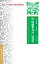 中国刑事诉讼法教程 第2版
