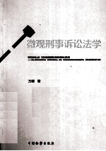 微观刑事诉讼法学 法解释学视野下的《刑事诉讼法修正案》