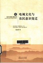 电视文化与农民意识行变迁