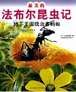 地下王国统治者蚂蚁