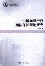 中国知识产权刑法保护理论研究