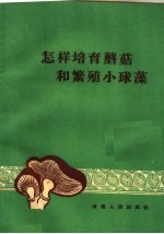 怎样培育蘑菇和繁殖小球藻